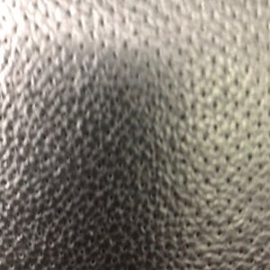 Meet your Posher, Vanessa